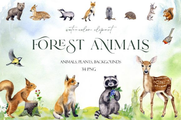 Download Watercolor Set Cute Woodland Animals Png - Woodland animals png Collection